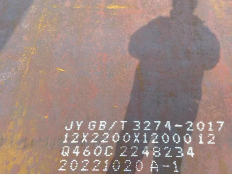 宁蒗Q460高强钢板